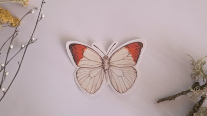 Butterfly stickers, set 1