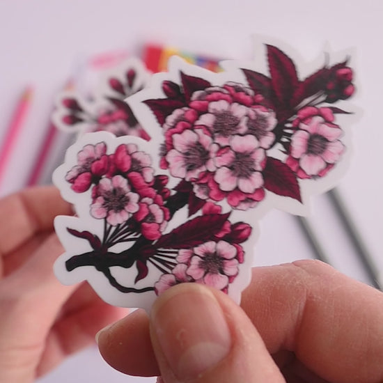 video featuring illustrated stickers with 2 cherry blossom branches