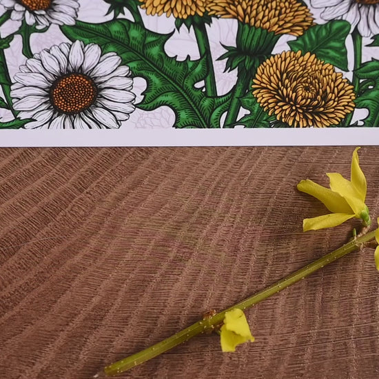 video of a giclee print of Bee-eaters and wildflowers illustration featuring bee - eater birds, dandelions, daisies and common blue butterflies