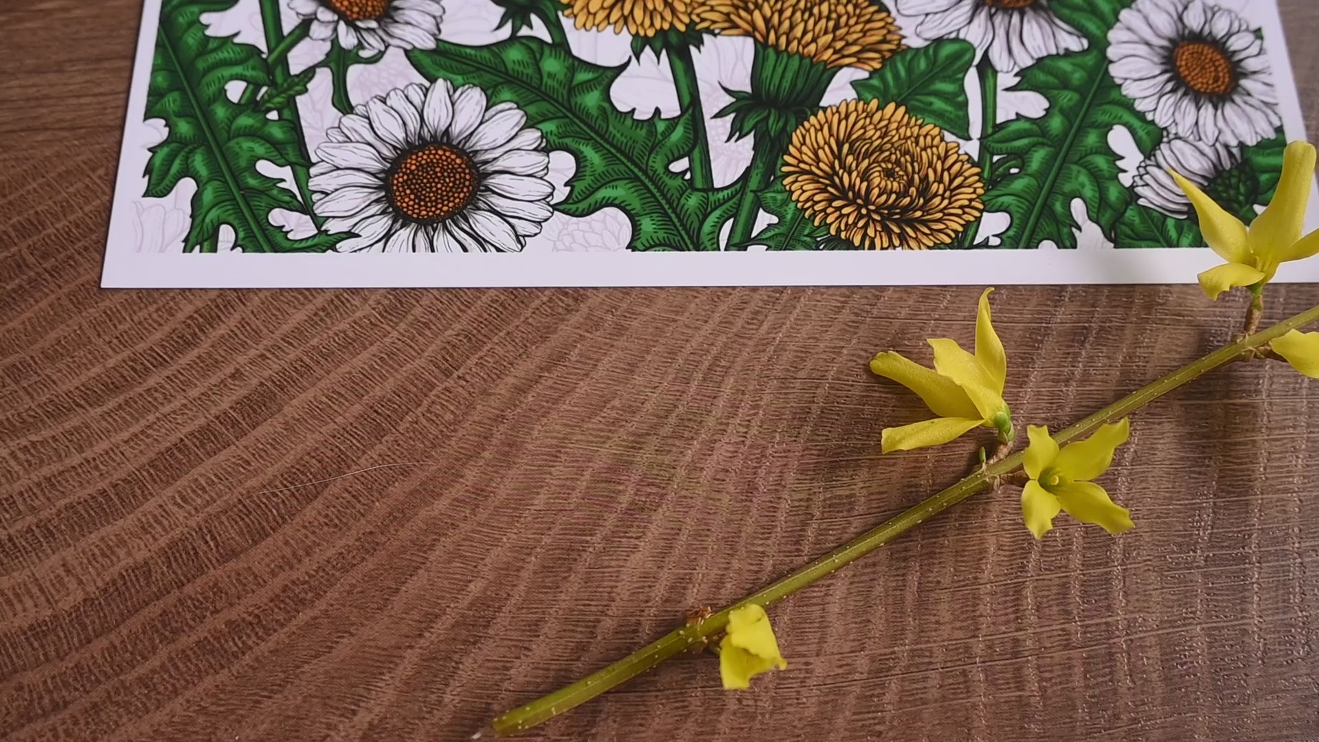 video of a giclee print of Bee-eaters and wildflowers illustration featuring bee - eater birds, dandelions, daisies and common blue butterflies