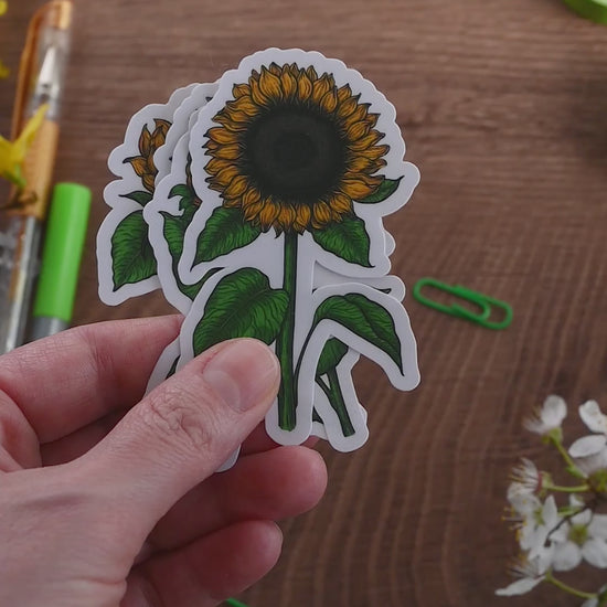 video showing 4 laminated paper stickers each one with printed illustration of sunflower