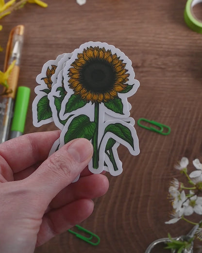 video showing 4 laminated paper stickers each one with printed illustration of sunflower