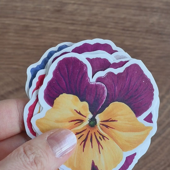 video showing a collection of 12 stickers of colorful pansies
