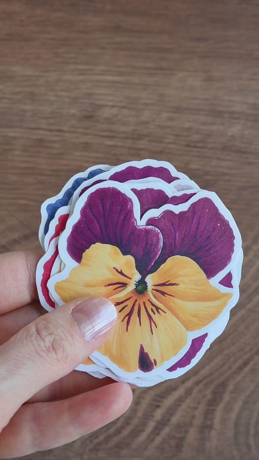 video showing a collection of 12 stickers of colorful pansies