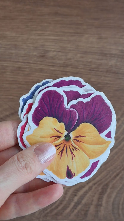 video showing a collection of 12 stickers of colorful pansies