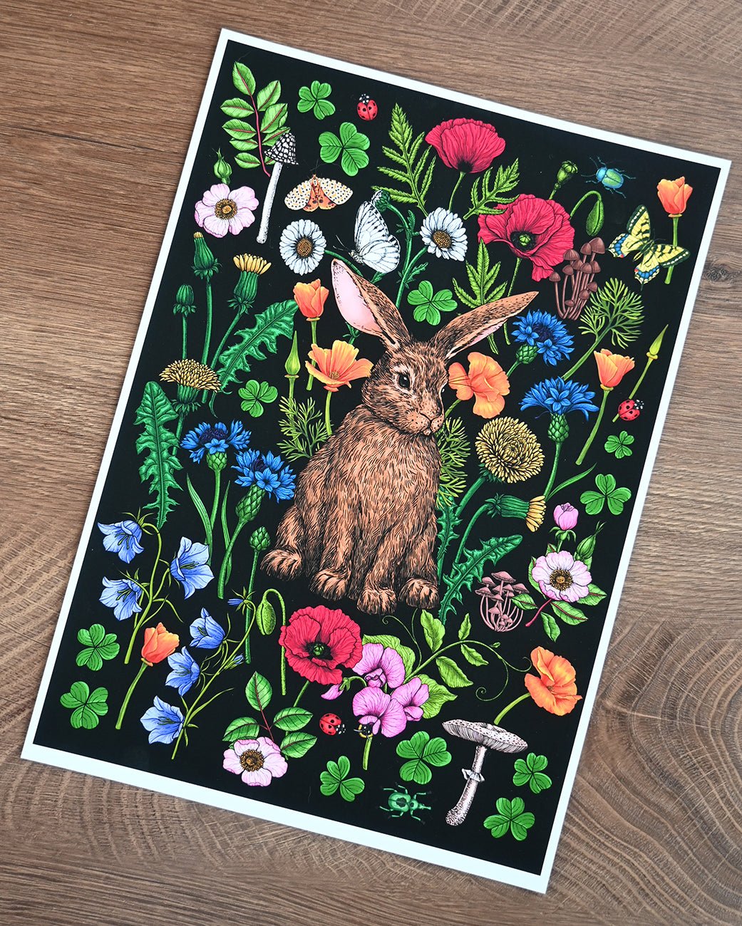 Rabbit and wildflowers 2 art print - katerinamitkova
