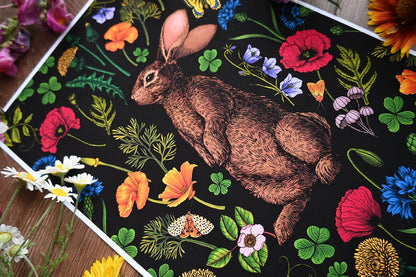 Rabbit and wildflowers art print - katerinamitkova