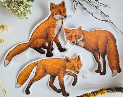 Red fox jounal stickers - katerinamitkova