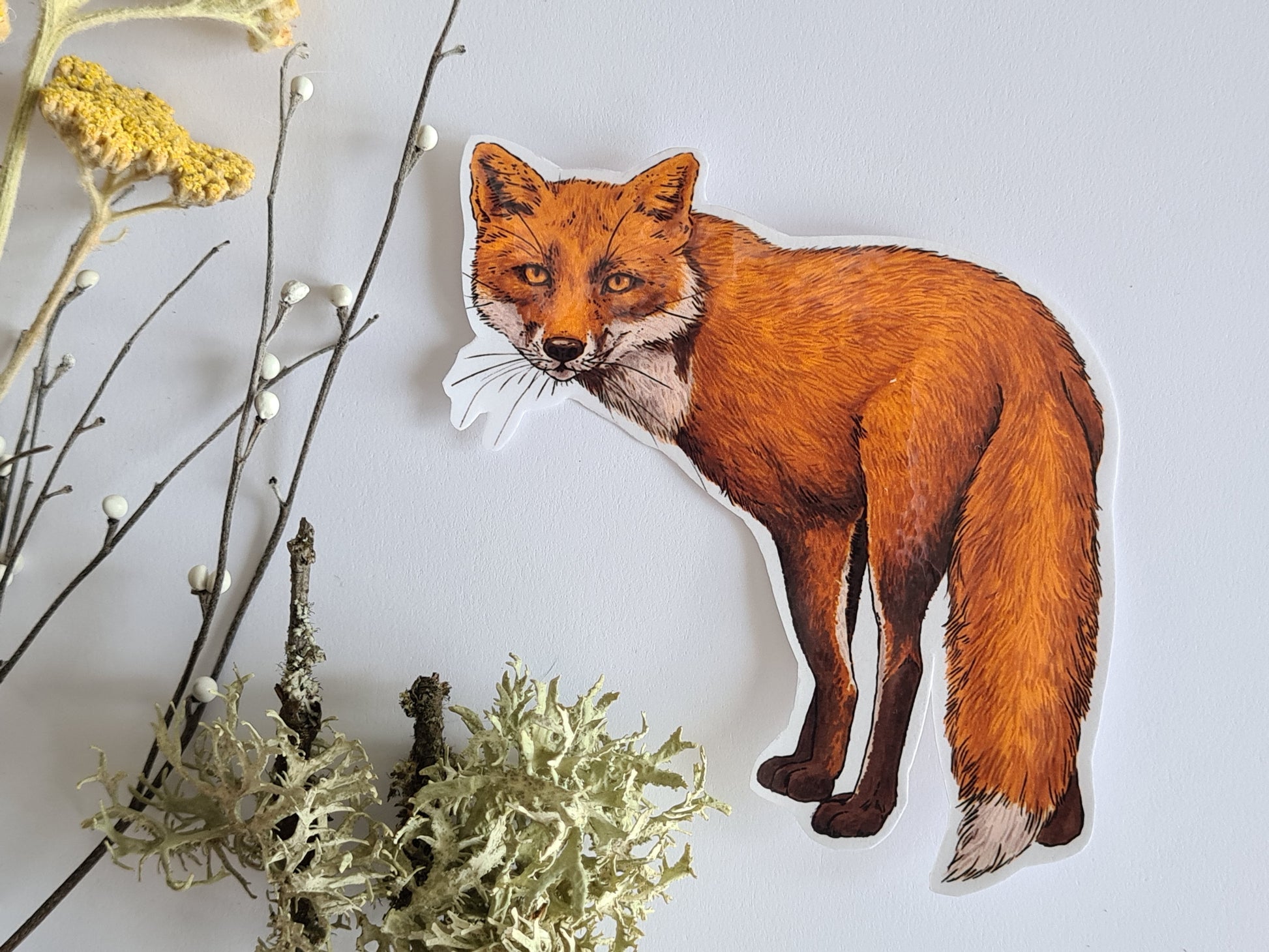 Red fox jounal stickers - katerinamitkova