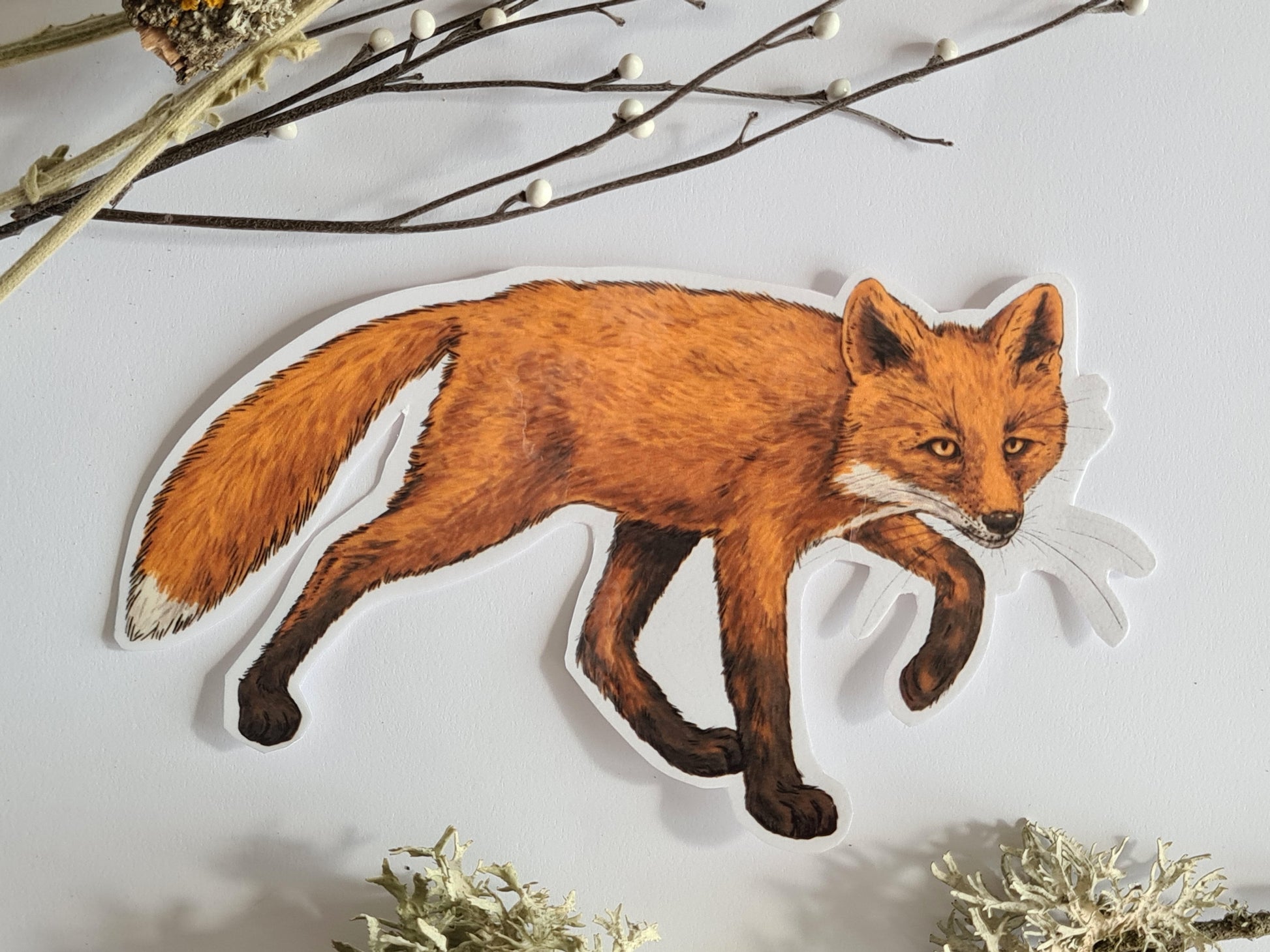 Red fox jounal stickers - katerinamitkova