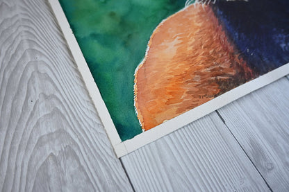 Red panda 2 watercolor painting - katerinamitkova
