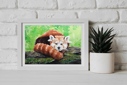 Red panda watercolor painting - katerinamitkova