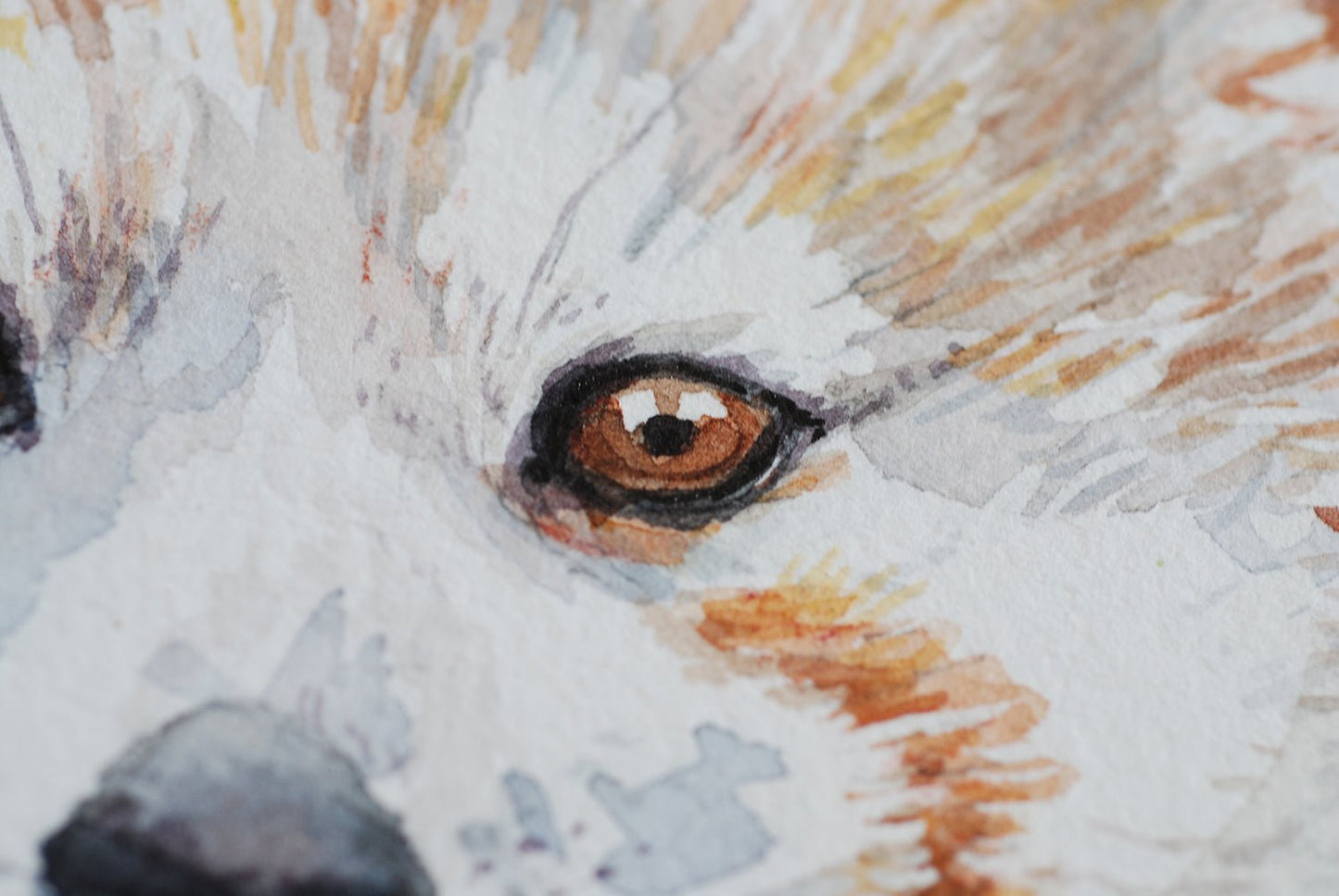 Red panda watercolor painting - katerinamitkova