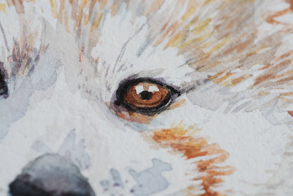 Red panda watercolor painting - katerinamitkova