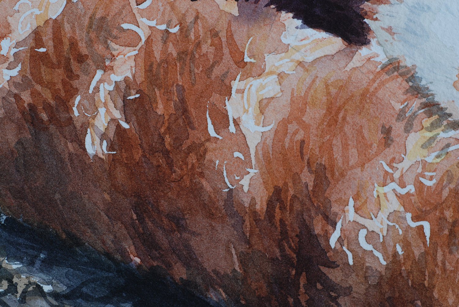 Red panda watercolor painting - katerinamitkova