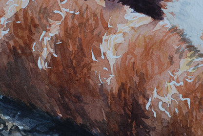 Red panda watercolor painting - katerinamitkova