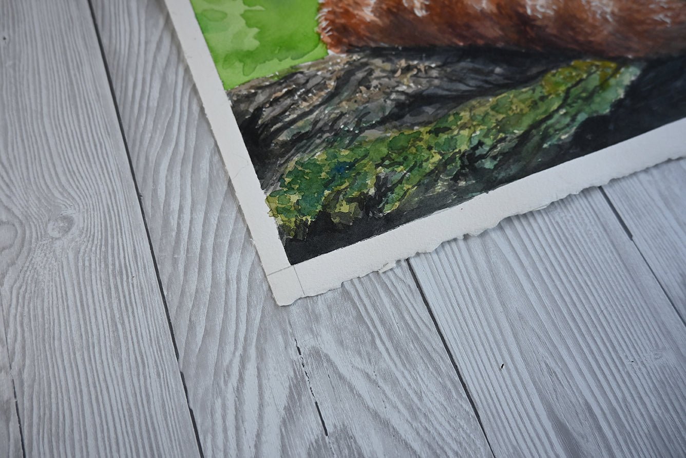 Red panda watercolor painting - katerinamitkova
