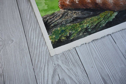 Red panda watercolor painting - katerinamitkova