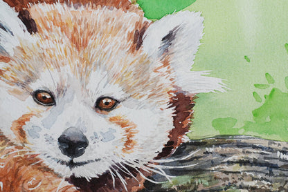 Red panda watercolor painting - katerinamitkova