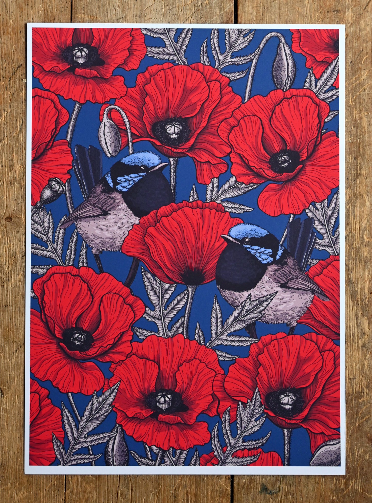 Red poppies and fairy wrens Print - katerinamitkova