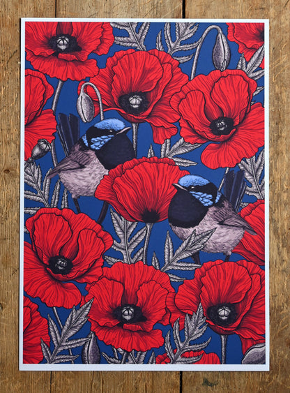 Red poppies and fairy wrens Print - katerinamitkova