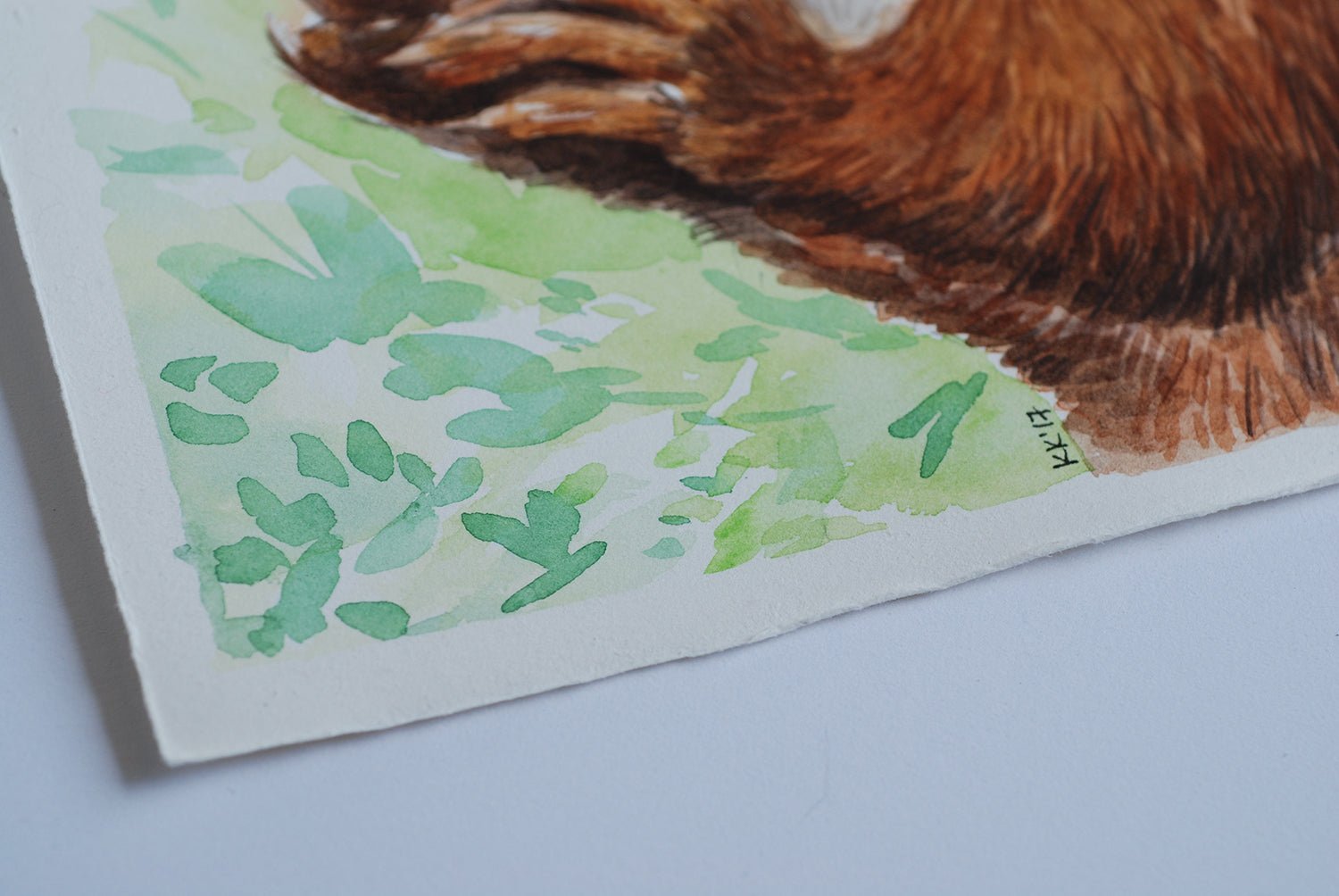 Red squirrel portrait watercolor painting - katerinamitkova