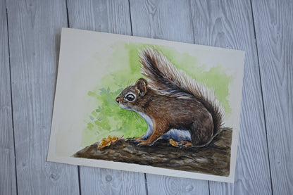 Red squirrel watercolor painting - katerinamitkova