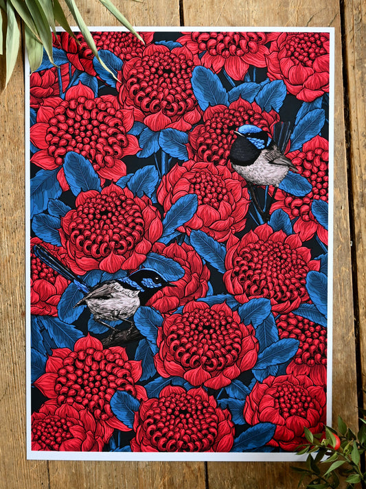 Red waratah and fairy wrens Art Print - katerinamitkova