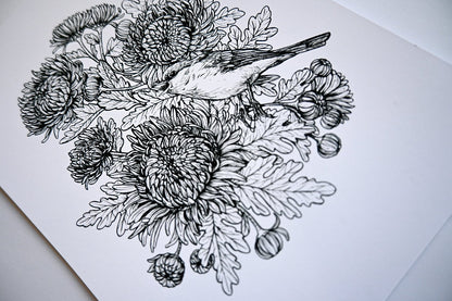 Redstart in the mums, black and white print - katerinamitkova