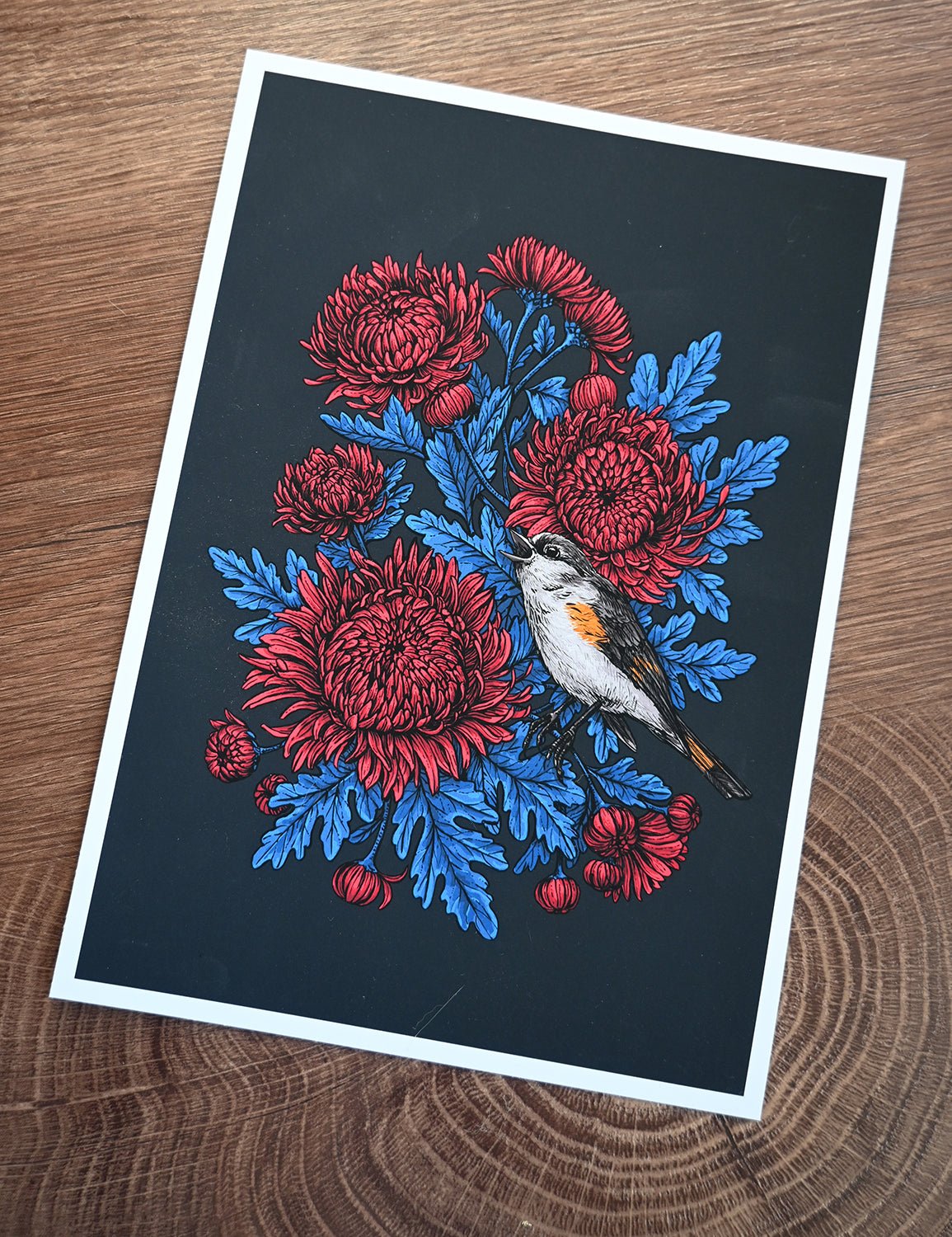 Redstart in the mums, color version print - katerinamitkova