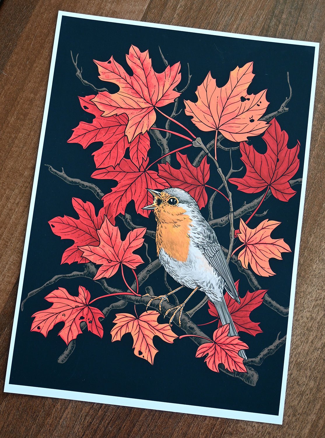 Robin in the maple tree print - katerinamitkova