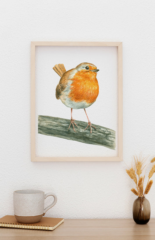 Framed watercolor painting of a robin on a branch on a white wall