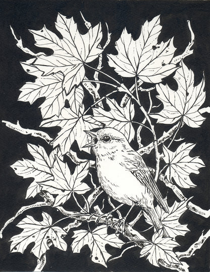 Black and white illustration of a bird perched on a branch with leaves against a black background