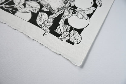 Robins in the apple tree ink drawing - katerinamitkova