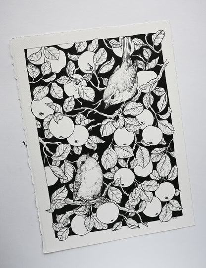 Robins in the apple tree ink drawing - katerinamitkova