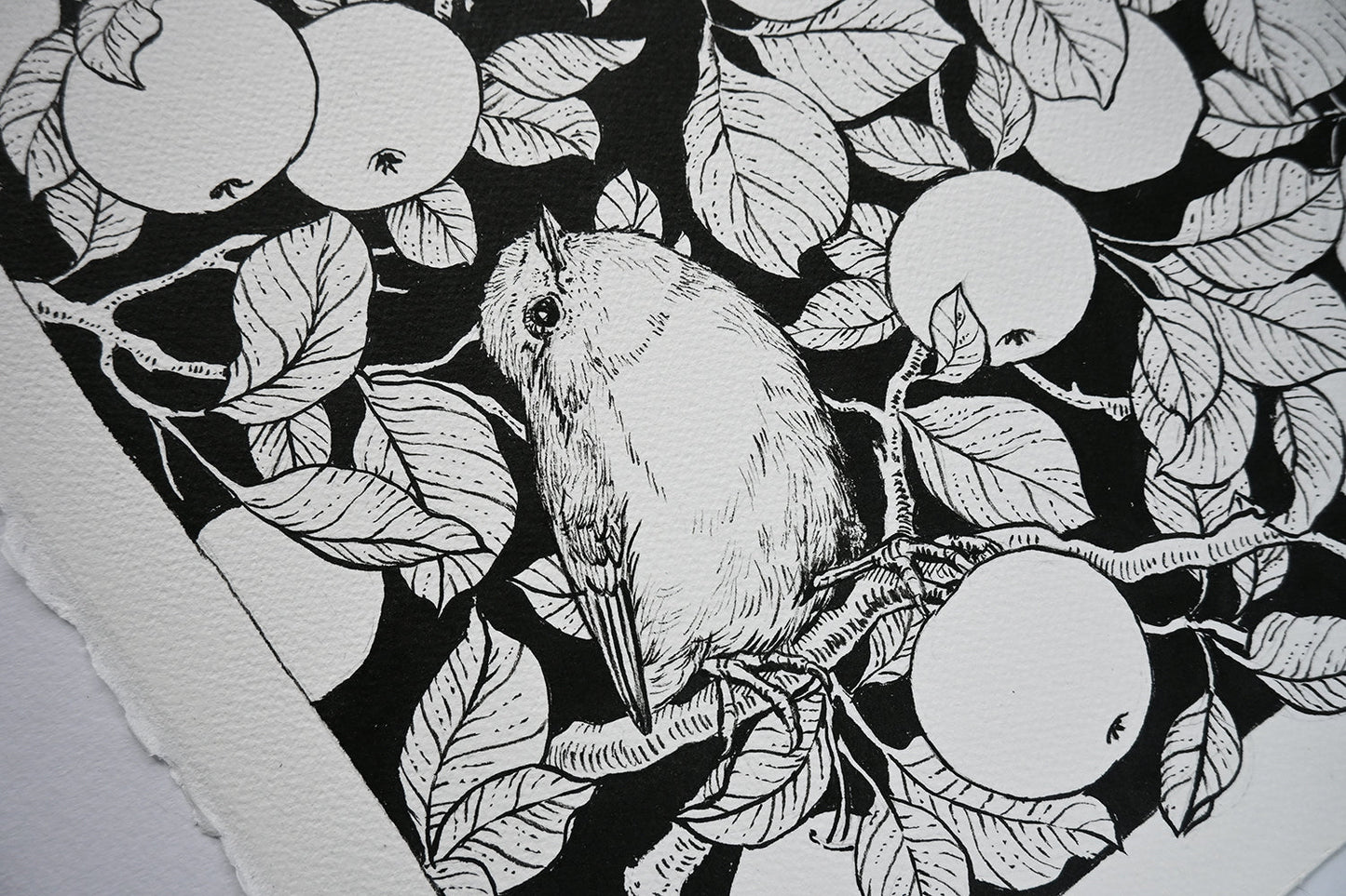 Robins in the apple tree ink drawing - katerinamitkova
