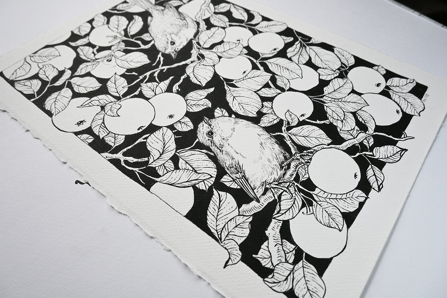 Robins in the apple tree ink drawing - katerinamitkova