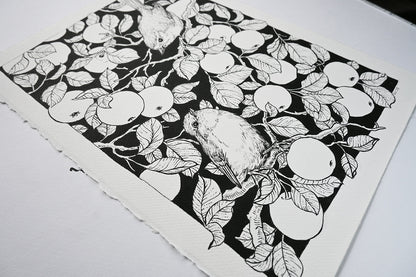 Robins in the apple tree ink drawing - katerinamitkova