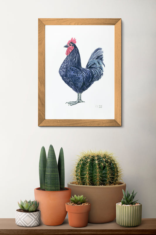 Framed artwork of a rooster on a wall above a shelf with potted plants.