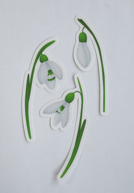 set of 3 snowdrop stickers on a white background