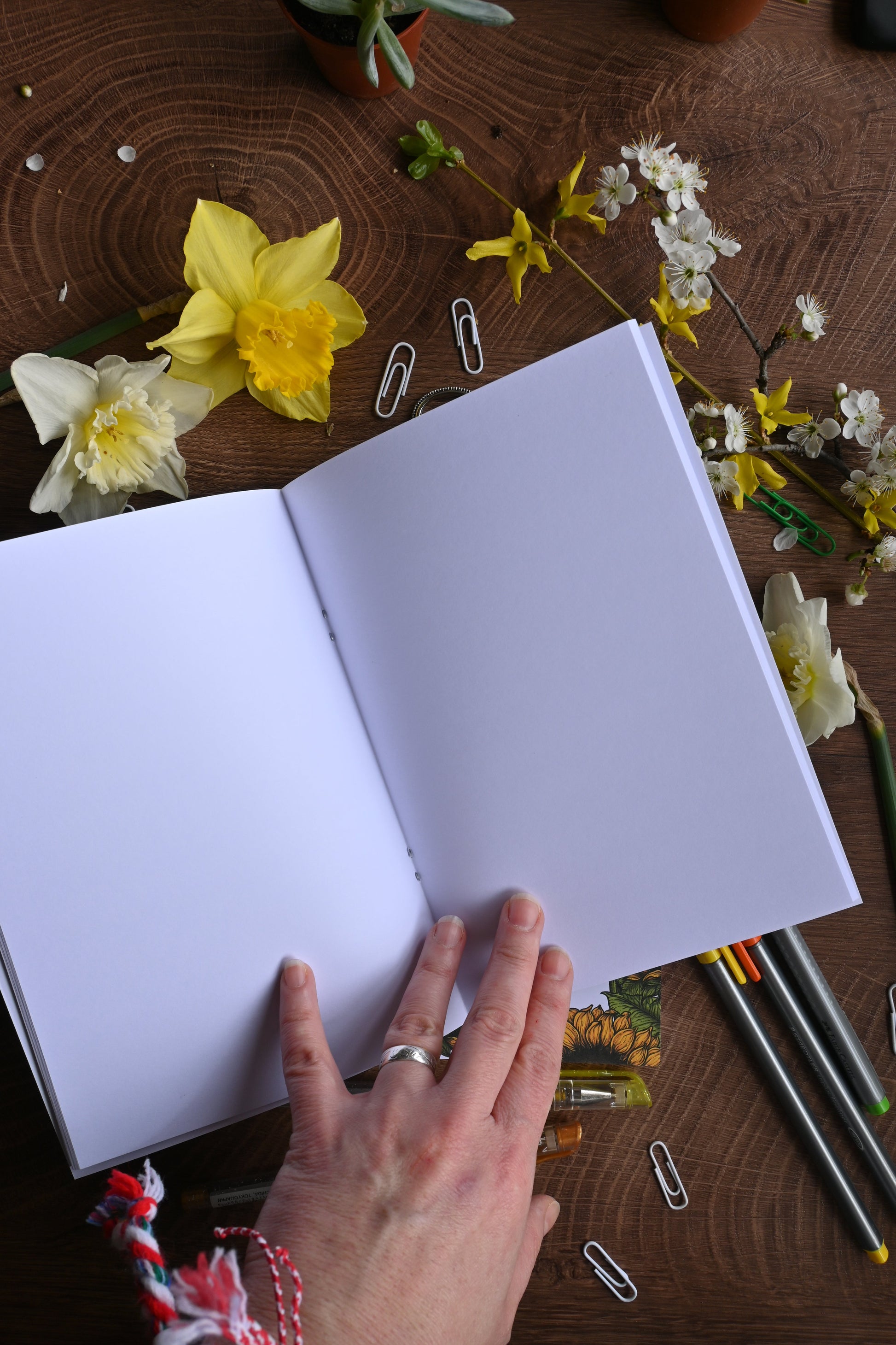 Sunflowers Notebook - katerinamitkova