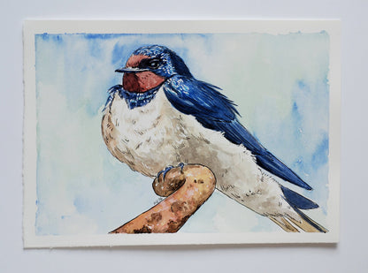 Swallow watercolor painting - katerinamitkova