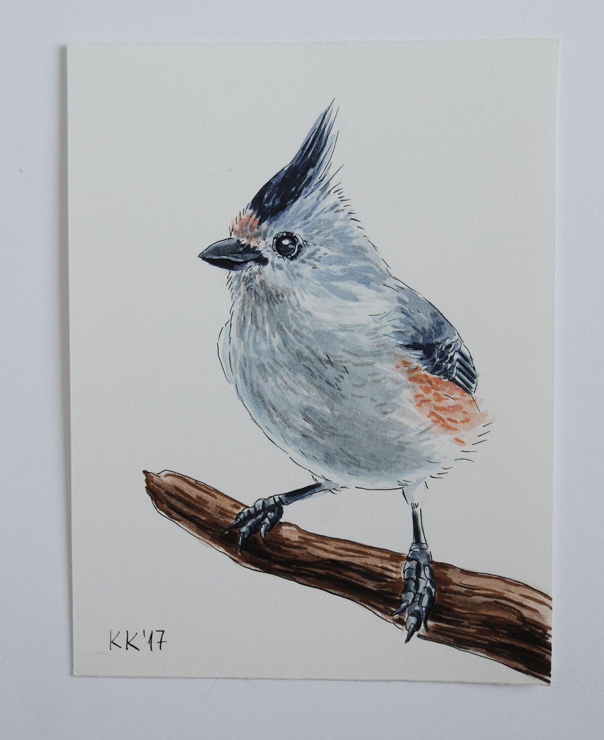 Titmouse on a branch watercolor painting - katerinamitkova