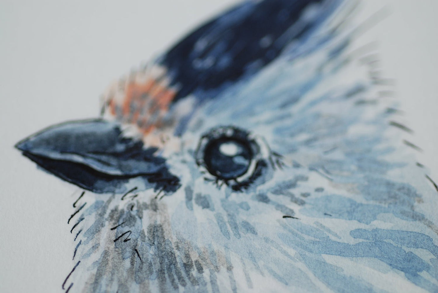 Titmouse on a branch watercolor painting - katerinamitkova