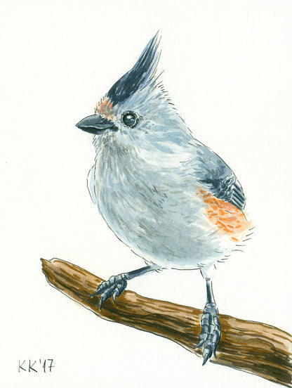 Titmouse on a branch watercolor painting
