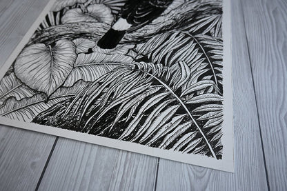 Toucan, ink drawing - katerinamitkova