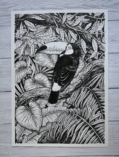 Toucan, ink drawing - katerinamitkova