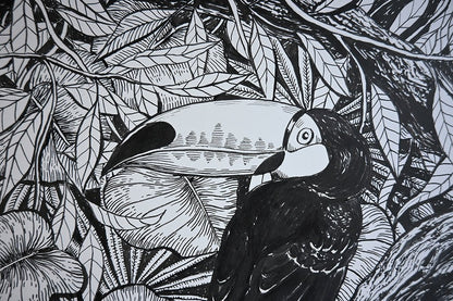 Toucan, ink drawing - katerinamitkova