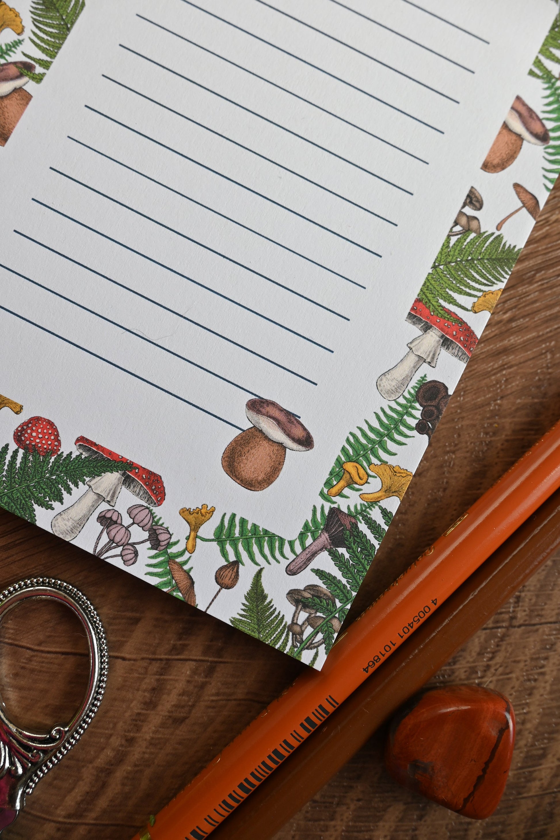 Wild Mushrooms and Fern notepad - katerinamitkova