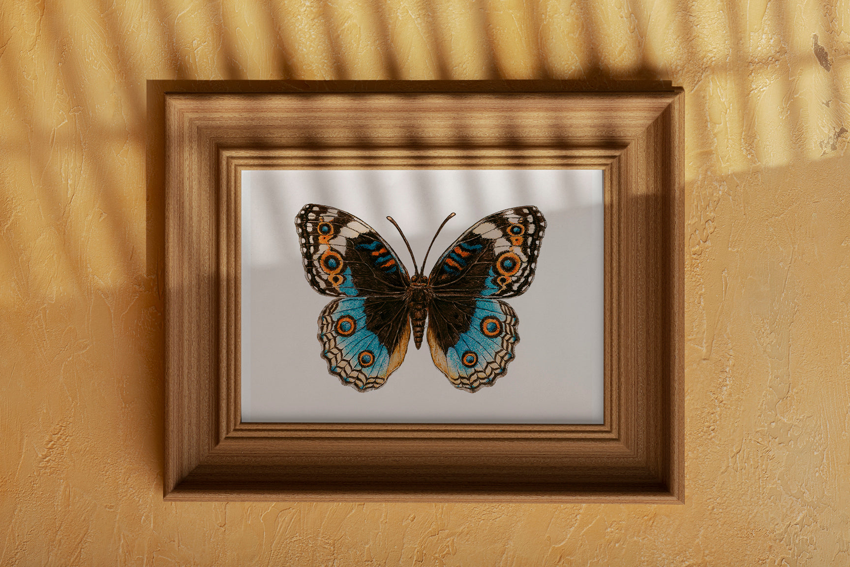 Framed Blue Pansy Butterfly painting on a beige wall